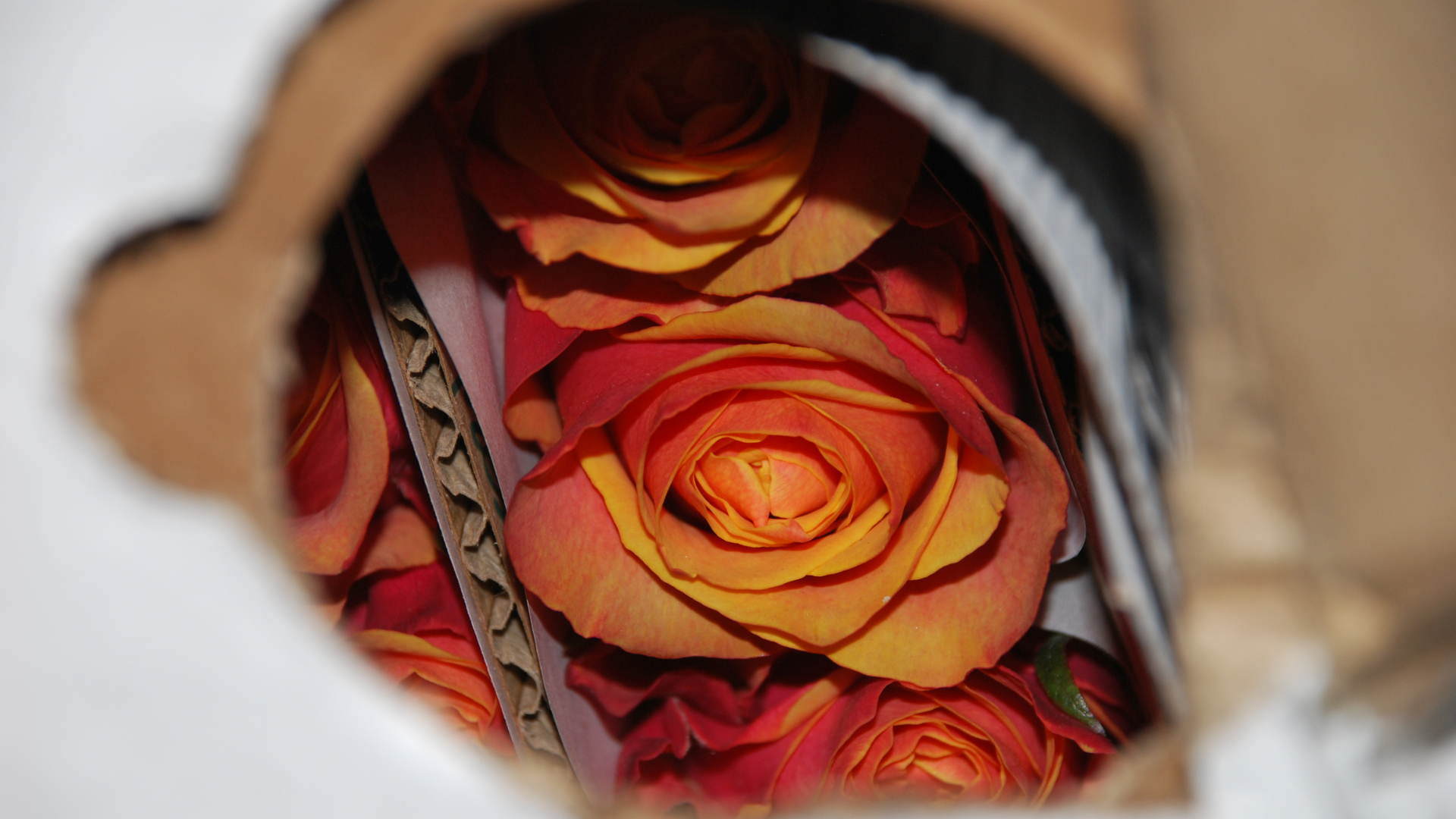 Say ‘I do’ to smooth logistics: How Swiss WorldCargo transports flowers worldwide during wedding season