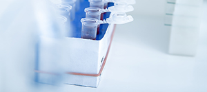 Biotechnologie