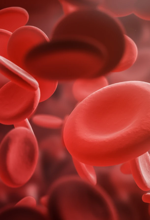 SWISS WorldCargo CEIV Pharma and GDP certified for safe pharma transport”