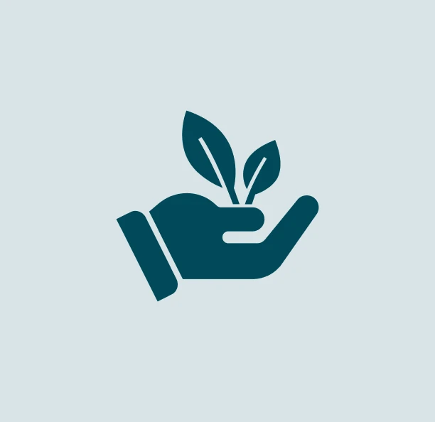 Hand with olive tree