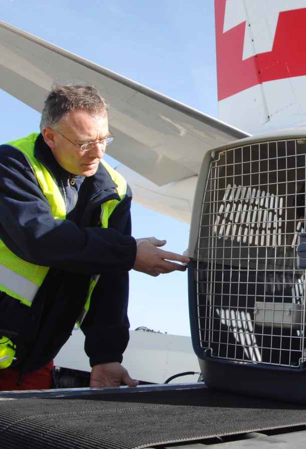 Dedicated Animal Care Center at Zurich Hub for safe and comfortable transfer of live animals
