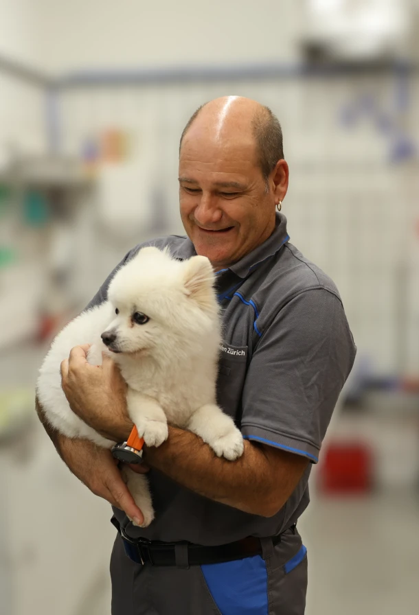 Animal center caregiver providing attentive care for pets during transit