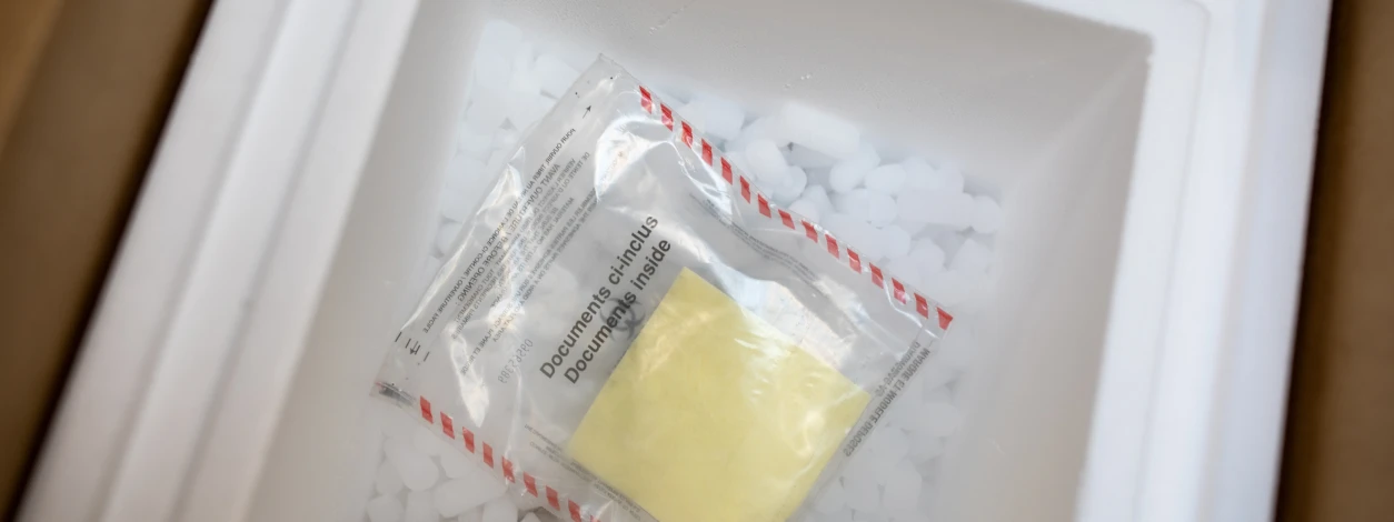 Special cargo in a cold ice box