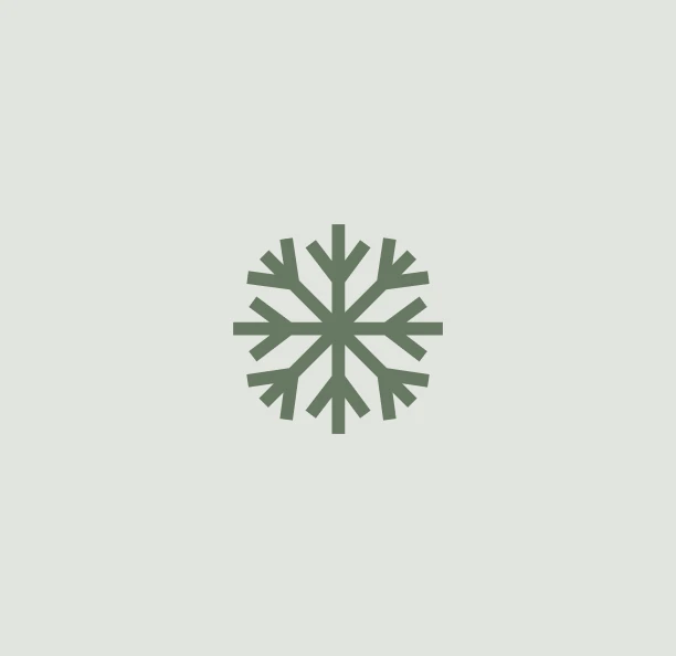 re-icing service