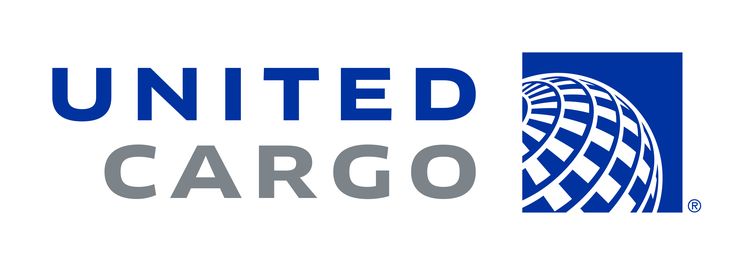 About Logo